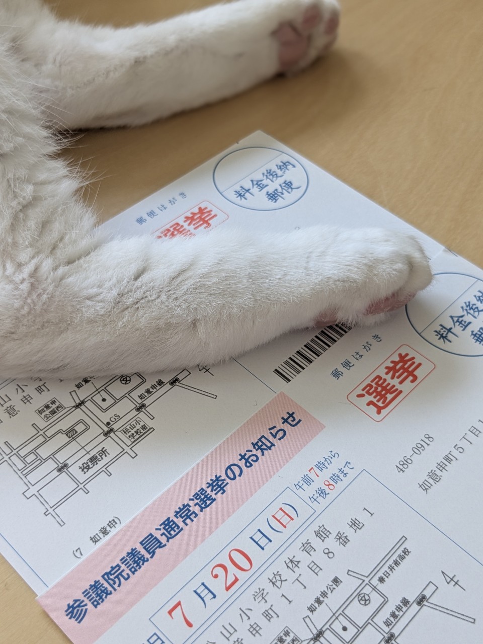 朝イチ投票へ
