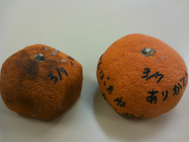 言葉の力