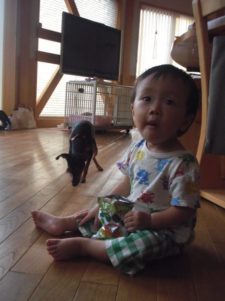 今日のミケル⑥