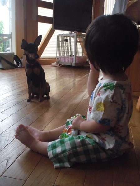 今日のミケル⑤