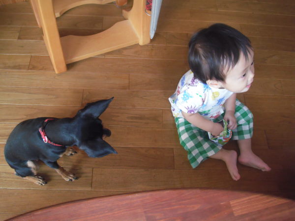 今日のミケル④