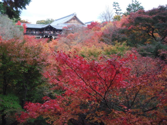 紅葉狩り③