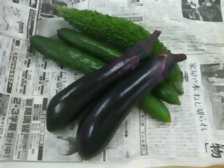 夏野菜！！！