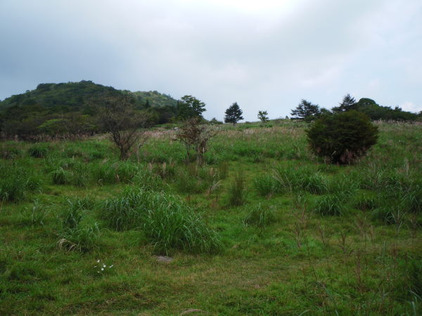 茶臼山高原①