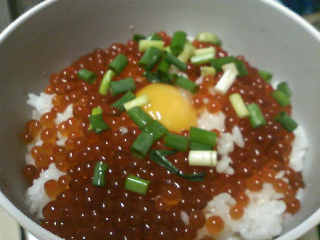 IKURA DON!!